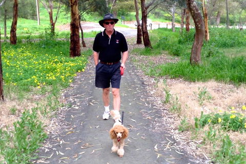 Clare Valley Cabins - Accommodation Brunswick Heads 34