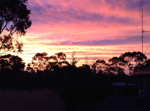 Clare Valley Cabins - Accommodation Brunswick Heads 8