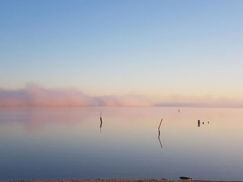 Barmera Lake Resort Motel - Accommodation Brunswick Heads 3