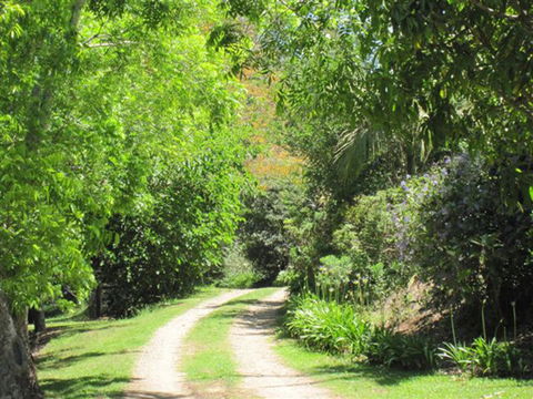 SummerHills Retreat Byron Bay - Accommodation Brunswick Heads 33