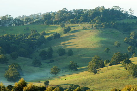 SummerHills Retreat Byron Bay - Accommodation Brunswick Heads 20