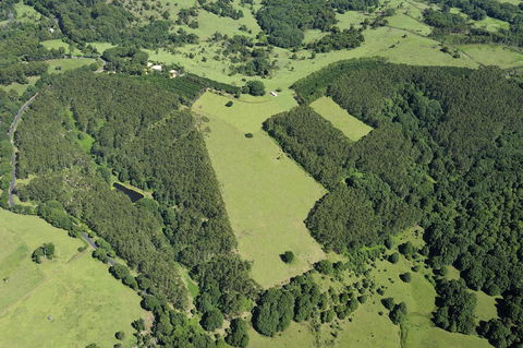 SummerHills Retreat Byron Bay - Accommodation Brunswick Heads 19