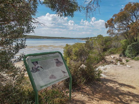 Willygunyah - Accommodation Brunswick Heads 31