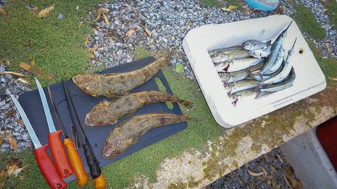 Willygunyah - Accommodation Brunswick Heads 30