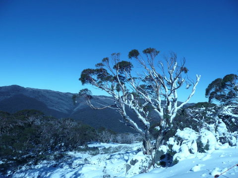 CHILL-OUT - Thredbo - Accommodation Brunswick Heads 33