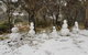 CHILL-OUT - Thredbo - thumb 21