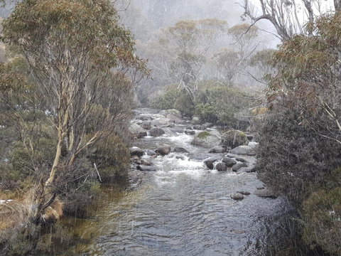 CHILL-OUT - Thredbo - Accommodation Brunswick Heads 23
