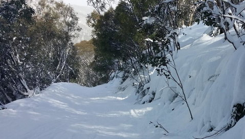 CHILL-OUT - Thredbo - Accommodation Brunswick Heads 17