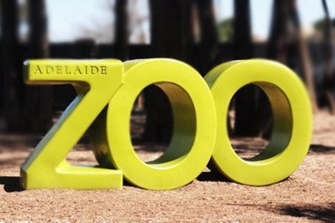 Executive 3 Bedroom Apartment + Internet + Parking - Accommodation Brunswick Heads 44