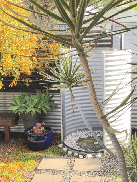 Milly\'s Middleton - Pet-friendly - Accommodation Brunswick Heads 23