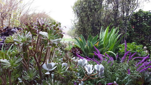 Linger Longer Vineyard - Accommodation Brunswick Heads 15