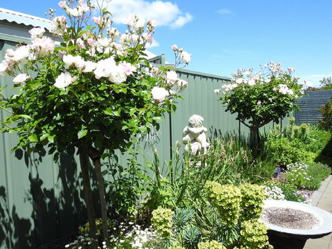 Sanctuary In The Valley - Accommodation Brunswick Heads 13