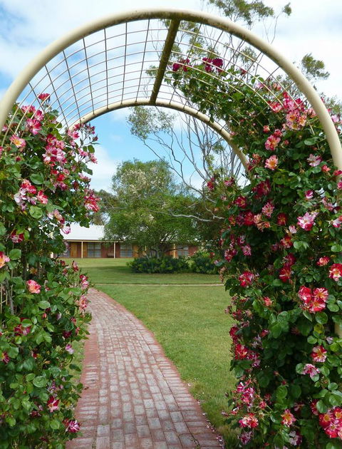 Coonawarra Place Motor Inn - Accommodation Brunswick Heads 20