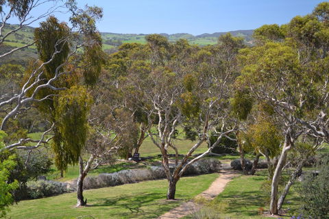 Shiraz Cottage - Accommodation Brunswick Heads 9