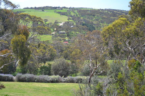 Shiraz Cottage - Accommodation Brunswick Heads 8