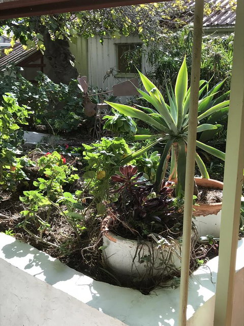 Cosy Nook - Accommodation Brunswick Heads 19