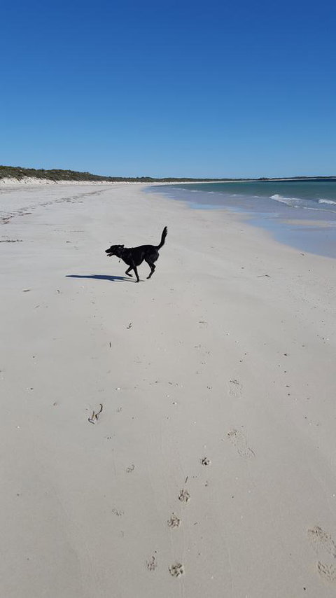 Cosy Nook - Accommodation Brunswick Heads 39
