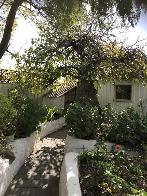 Cosy Nook - Accommodation Brunswick Heads 3