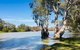 Echo Holiday Parks - Renmark - thumb 5