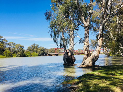 Echo Holiday Parks - Renmark - Accommodation Brunswick Heads 5
