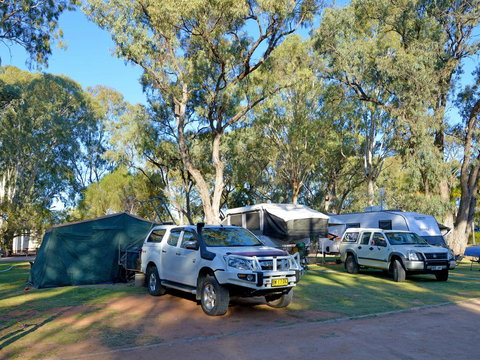 Echo Holiday Parks - Renmark - Accommodation Brunswick Heads 9