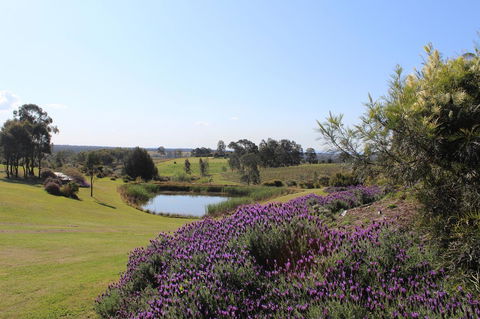 Beltana Villas - Accommodation Brunswick Heads 7