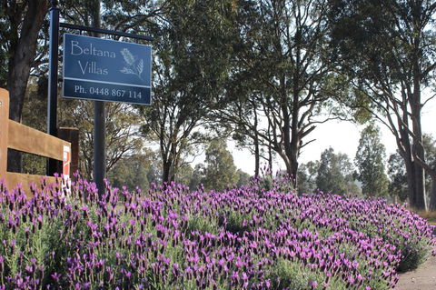 Beltana Villas - Accommodation Brunswick Heads 10