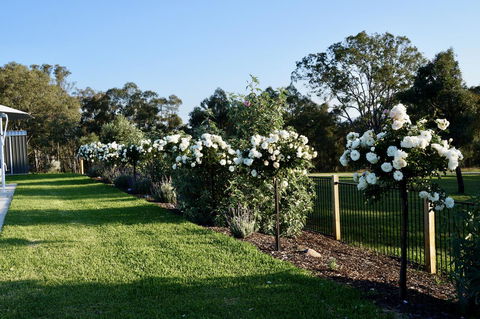 Beltana Villas - Accommodation Brunswick Heads 2