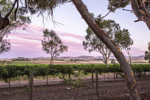 Jasmine\'s Barossa Valley Cottage - Accommodation Brunswick Heads 19