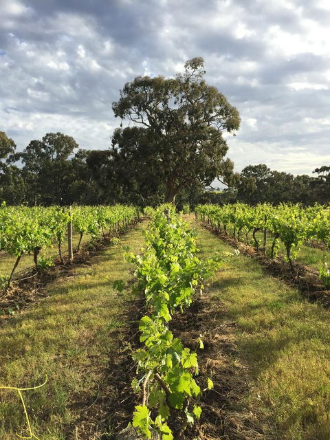 The Winemakers - Accommodation Brunswick Heads 2