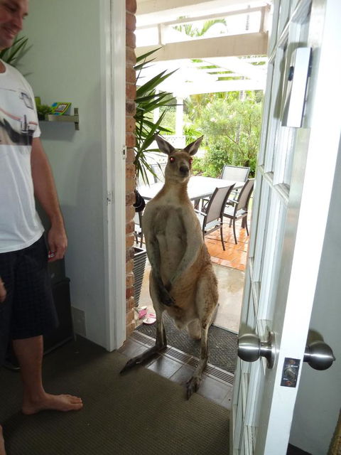 Aston Motel Yamba - Accommodation Brunswick Heads 10
