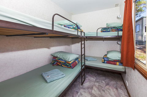 Echo Holiday Parks - Naracoorte - Accommodation Brunswick Heads 35