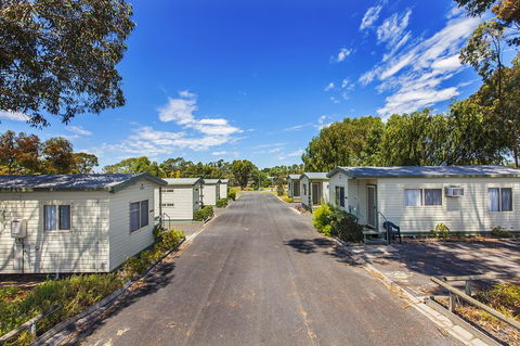Echo Holiday Parks - Naracoorte - Accommodation Brunswick Heads 7