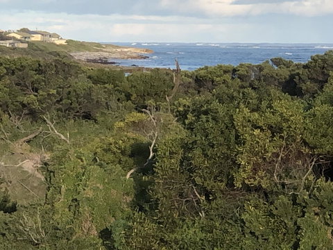 Rocks Retreat House With Sea Views - Accommodation Brunswick Heads 3