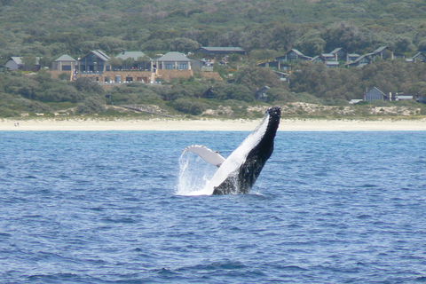 Pullman Bunker Bay Resort Margaret River - Accommodation Brunswick Heads 25