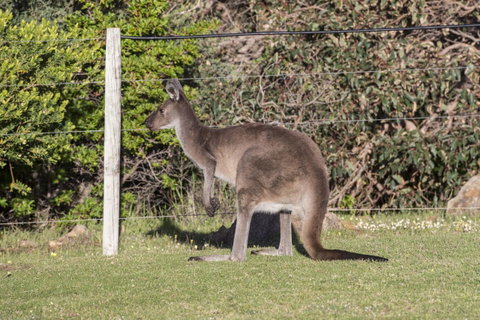 Chandlers Smiths Beach Villas - Accommodation Brunswick Heads 15
