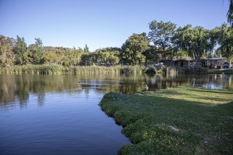 Karrinyup Waters Resort - Accommodation Brunswick Heads 15