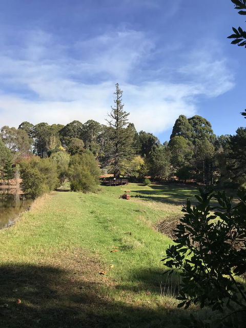 Forest Lodge Resort - Accommodation Brunswick Heads 31
