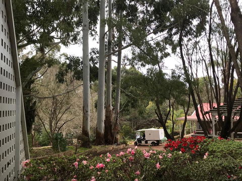Forest Lodge Resort - Accommodation Brunswick Heads 11