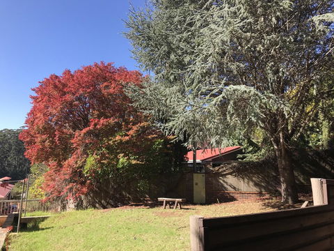 Forest Lodge Resort - Accommodation Brunswick Heads 42