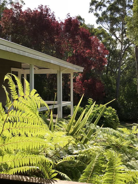 Forest Lodge Resort - Accommodation Brunswick Heads 14