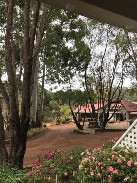 Forest Lodge Resort - Accommodation Brunswick Heads 9