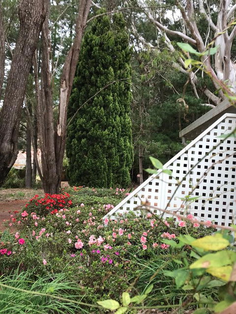 Forest Lodge Resort - Accommodation Brunswick Heads 7