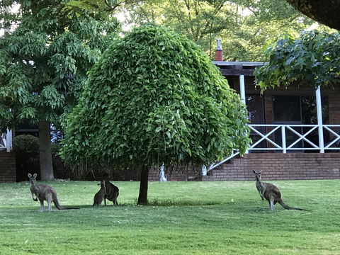 Forest Lodge Resort - Accommodation Brunswick Heads 1