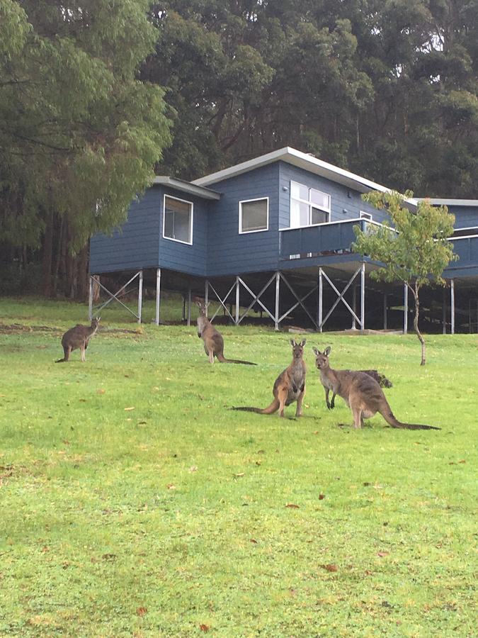  Accommodation Brunswick Heads