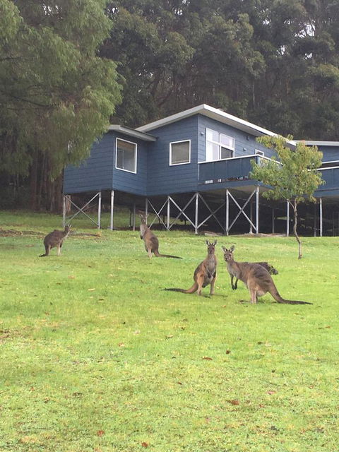 Blue House Denmark - Accommodation Brunswick Heads 0