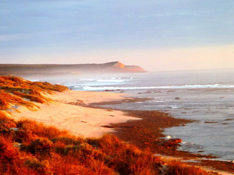 Kanga Cottage - Accommodation Brunswick Heads 26