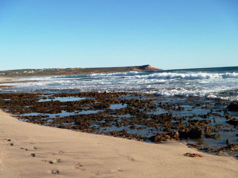 Kanga Cottage - Accommodation Brunswick Heads 31