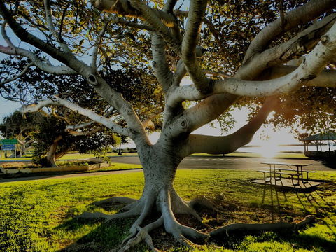 Lazy Lobster Holiday Units & Chalets - Accommodation Brunswick Heads 34