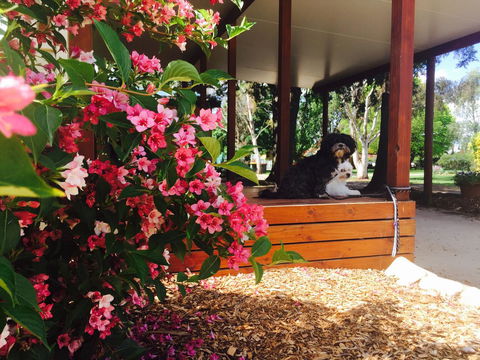 Armidale Tourist Park - Accommodation Brunswick Heads 34